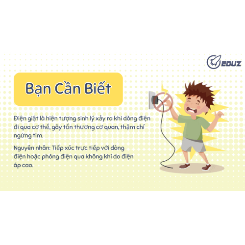 1. Những điều bạn cần biết